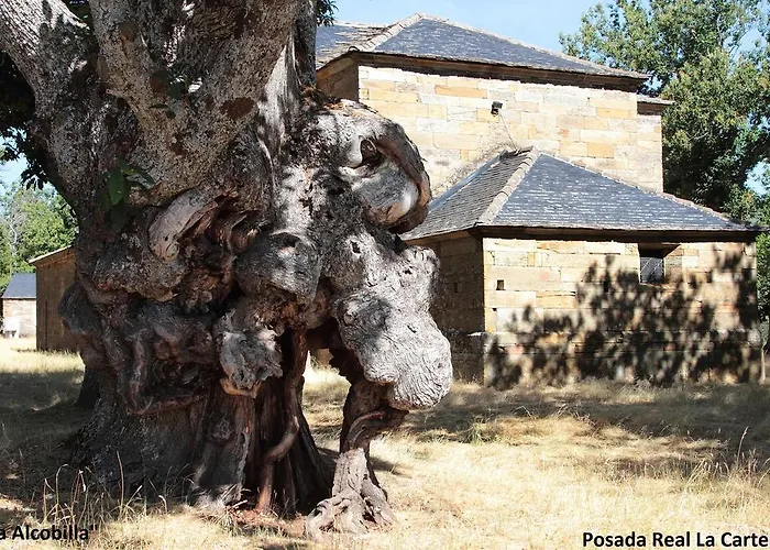 皇家邮局旅馆 普韦布拉桑纳比亚